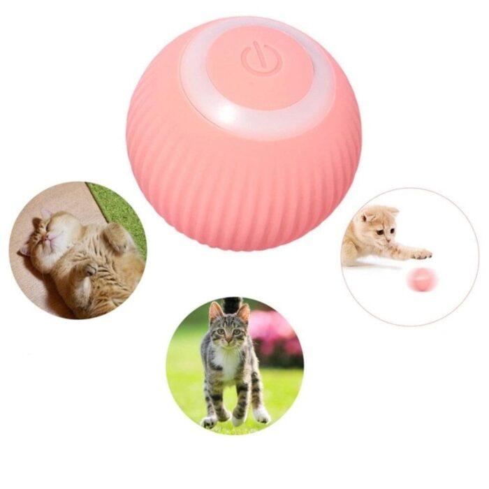 Bolinha Inteligente para Gatos Recarregável-Miau Auau Pets