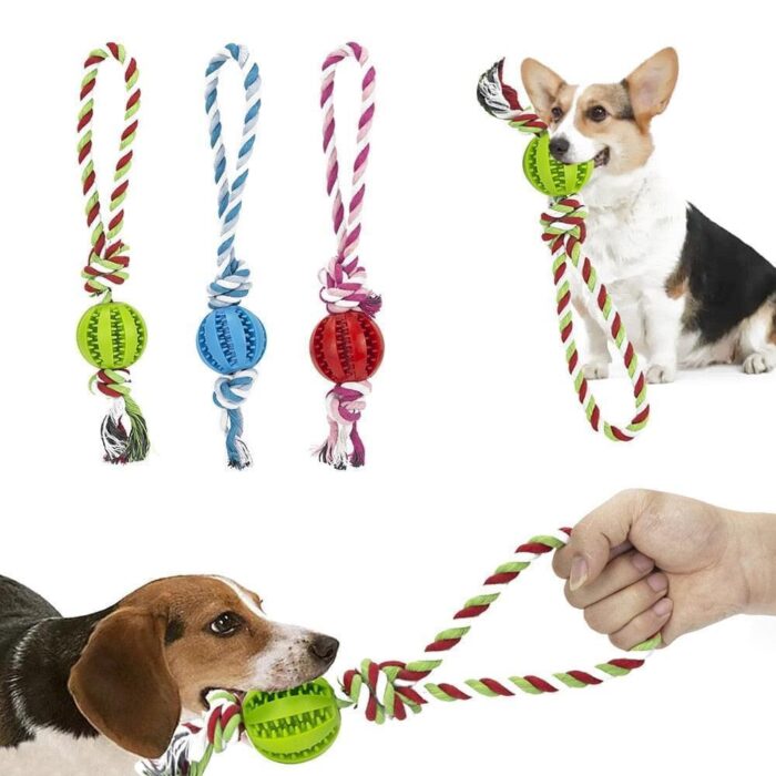 Bolinha para Cachorro Porta Petisco com Corda-Miau Auau Pets