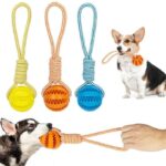 Bolinha para Cachorro Porta Petisco com Corda-Miau Auau Pets