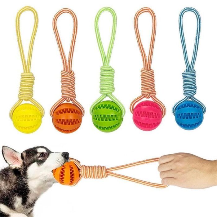 Bolinha para Cachorro Porta Petisco com Corda-Miau Auau Pets