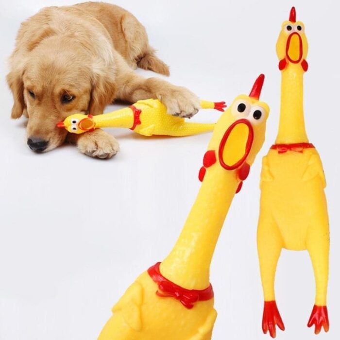 Brinquedo para Cachorro Frango com Apito-Miau Auau Pets