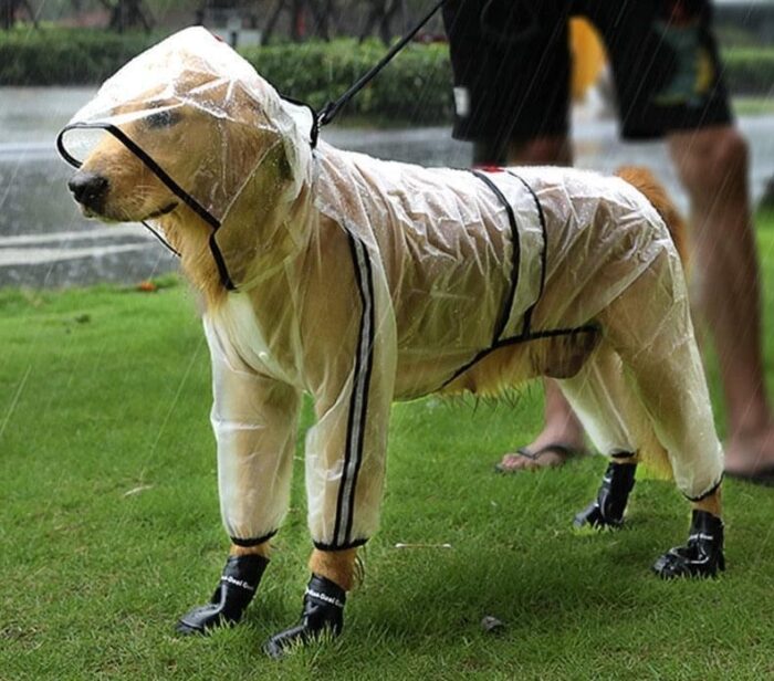 Capa de Chuva para Cães Refletiva com Capuz-Miau Auau Pets