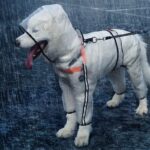 Capa de Chuva para Cães Refletiva com Capuz-Miau Auau Pets