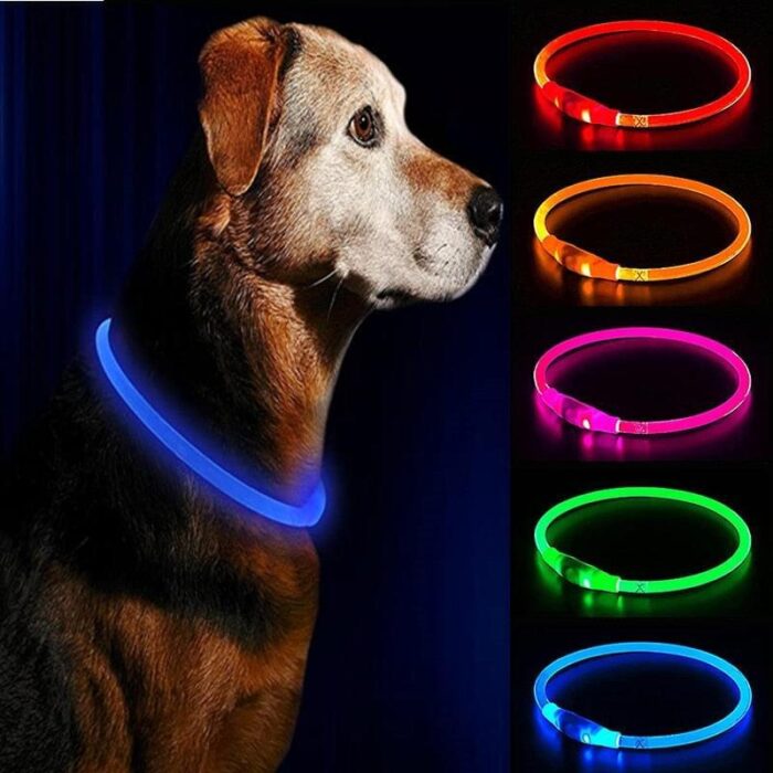 Coleira para Cães e Gatos LED Recarregável-Miau Auau Pets