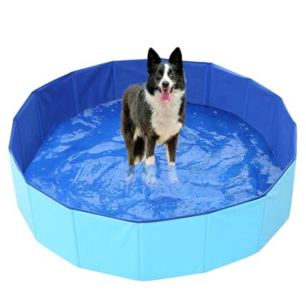 Piscina para Cães Dobrável-Miau Auau Pets