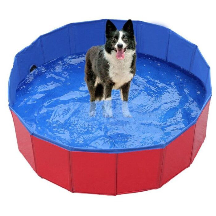 Piscina para Cães Dobrável-Miau Auau Pets