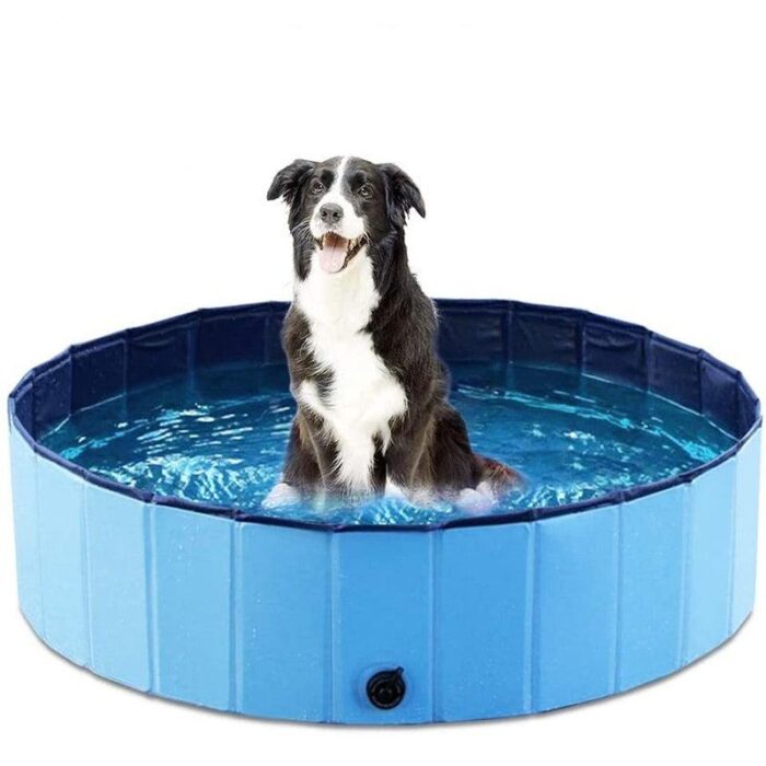 Piscina para Cães Dobrável-Miau Auau Pets