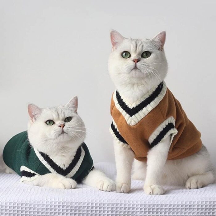 Roupa para Cães e Gatos Blusa Estilo Universitário-Miau Auau Pets