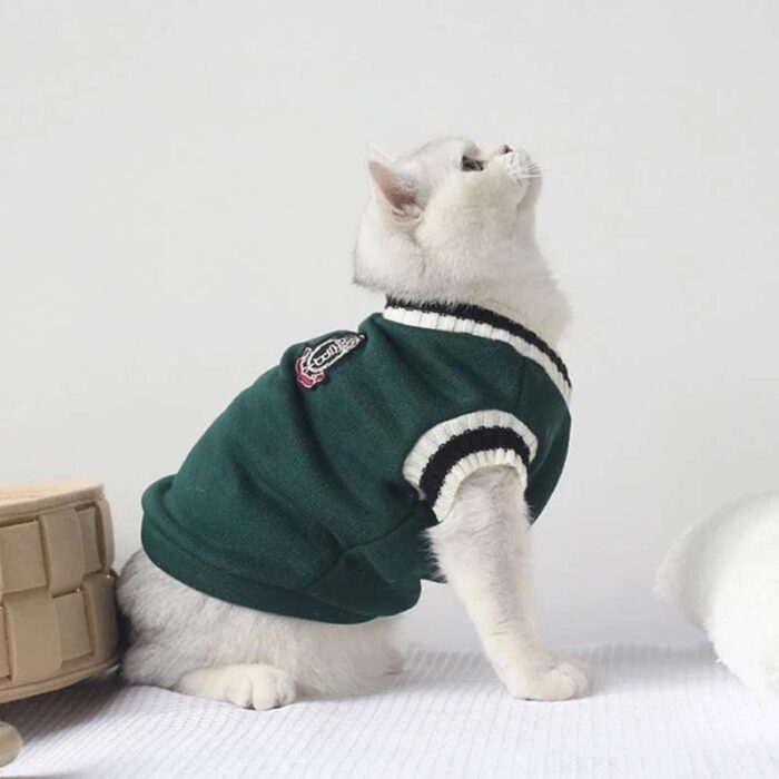 Roupa para Cães e Gatos Blusa Estilo Universitário-Miau Auau Pets