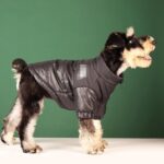 Roupa para Pets Jaqueta Corta Vento Inverno-Miau Auau Pets