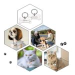 Tag de Identificação para Cães e Gatos Modelo Ossinho-Miau Auau Pets