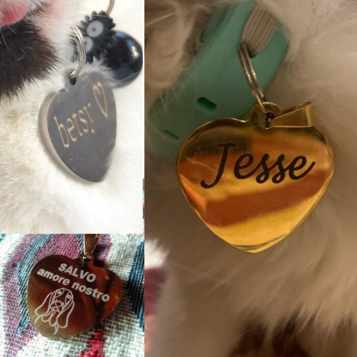 Tag de Identificação Personalizada para Pets-Miau Auau Pets