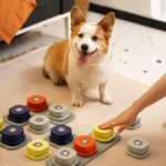 Tapete de Treinamento Multifuncional para Pets-Miau Auau Pets